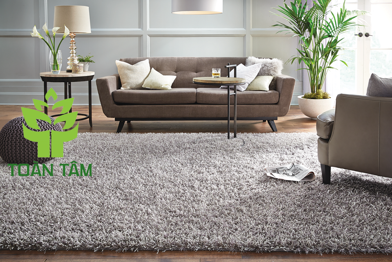 Thảm trải sàn mang đến sự đẳng cấp cho không gian của bạn